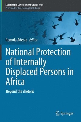 bokomslag National Protection of Internally Displaced Persons in Africa