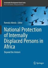 bokomslag National Protection of Internally Displaced Persons in Africa
