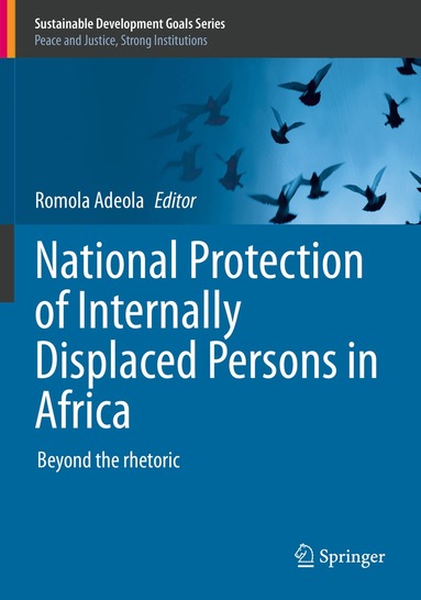 Romola Adeola - National Protection of Internally Displaced Persons in Africa, Häftad