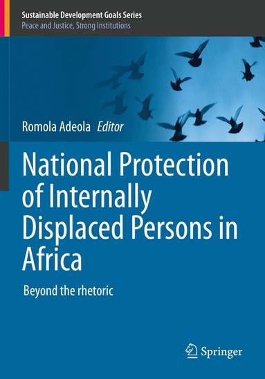 bokomslag National Protection of Internally Displaced Persons in Africa