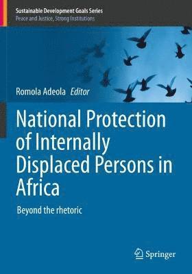 Romola Adeola - National Protection of Internally Displaced Persons in Africa, Häftad