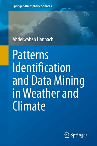 Abdelwaheb Hannachi - Patterns Identification and Data Mining in Weather and Climate, Inbunden