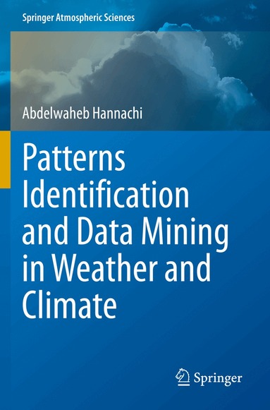 Abdelwaheb Hannachi - Patterns Identification and Data Mining in Weather and Climate, Häftad