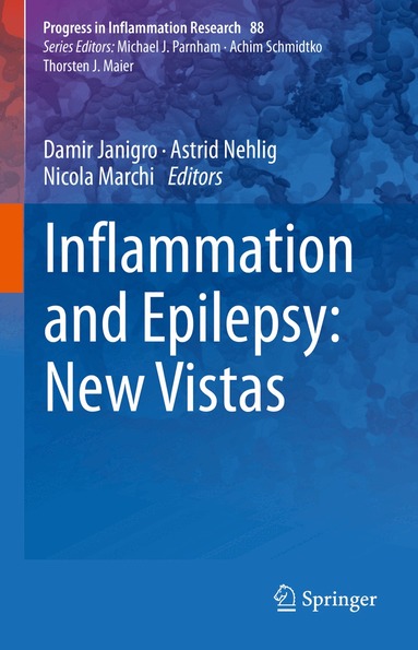 Damir Janigro, Astrid Nehlig, Nicola Marchi - Inflammation and Epilepsy: New Vistas, Inbunden