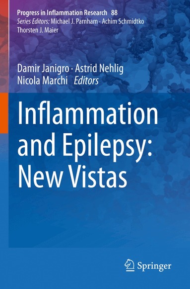 Damir Janigro, Astrid Nehlig, Nicola Marchi - Inflammation and Epilepsy: New Vistas, Häftad