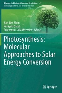 bokomslag Photosynthesis: Molecular Approaches to Solar Energy Conversion