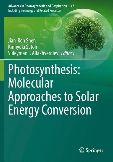 bokomslag Photosynthesis: Molecular Approaches to Solar Energy Conversion