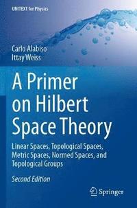 bokomslag Primer on Hilbert Space Theory