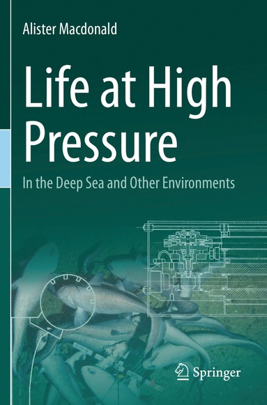 bokomslag Life at High Pressure