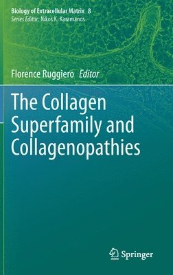 bokomslag The Collagen Superfamily and Collagenopathies