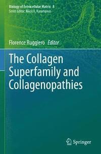 bokomslag The Collagen Superfamily and Collagenopathies