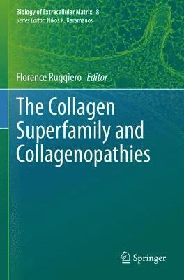 bokomslag The Collagen Superfamily and Collagenopathies