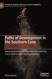 bokomslag Paths of Development in the Southern Cone