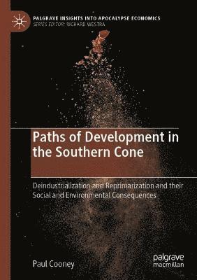 bokomslag Paths of Development in the Southern Cone