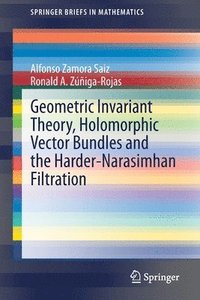 bokomslag Geometric Invariant Theory, Holomorphic Vector Bundles and the Harder-Narasimhan Filtration