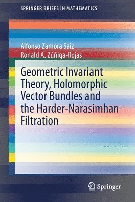 bokomslag Geometric Invariant Theory, Holomorphic Vector Bundles and the Harder-Narasimhan Filtration