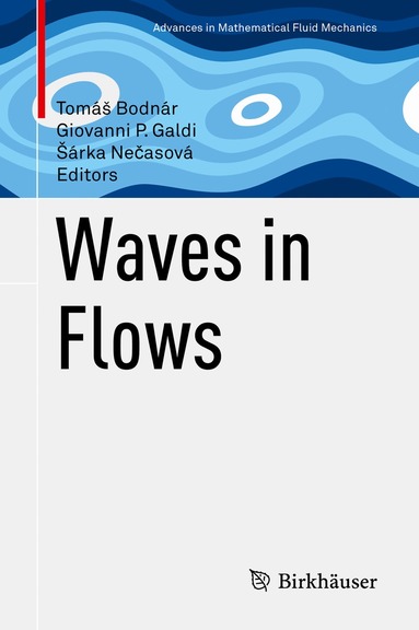 Tomáš Bodnár, Giovanni P. Galdi, Šárka Nečasová - Waves in Flows, Inbunden