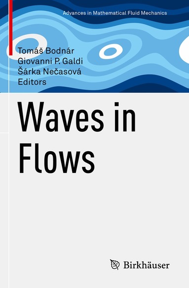 Tomáš Bodnár, Giovanni P. Galdi, Šárka Nečasová - Waves in Flows, Häftad