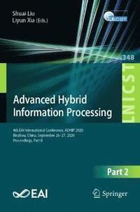 bokomslag Advanced Hybrid Information Processing