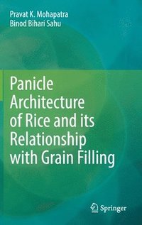 bokomslag Panicle Architecture of Rice and its Relationship with Grain Filling