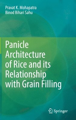 Panicle Architecture of Rice and its Relationship with Grain Filling