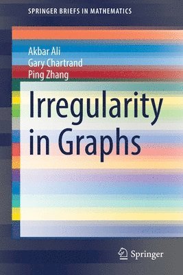 Irregularity in Graphs 1