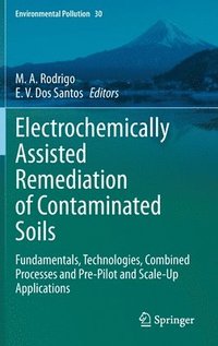 bokomslag Electrochemically Assisted Remediation of Contaminated Soils