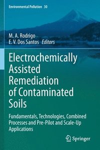 bokomslag Electrochemically Assisted Remediation of Contaminated Soils