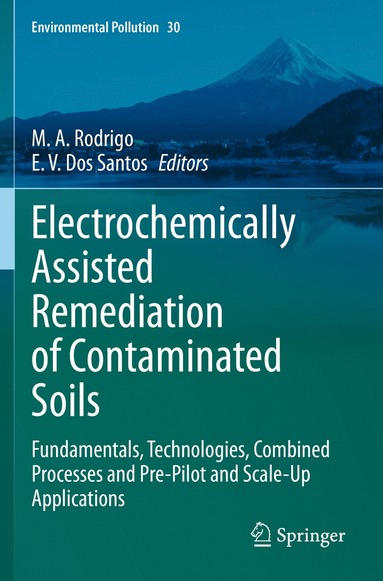 bokomslag Electrochemically Assisted Remediation of Contaminated Soils