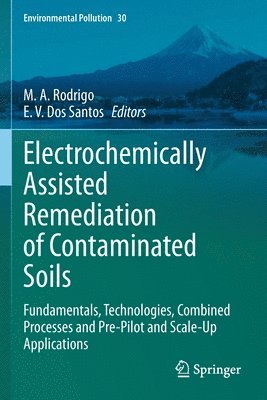 M. A. Rodrigo, E. V. Dos Santos - Electrochemically Assisted Remediation of Contaminated Soils, Häftad