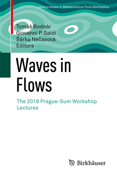 Tomáš Bodnár, Giovanni P. Galdi, Šárka Nečasová - Waves in Flows, Häftad