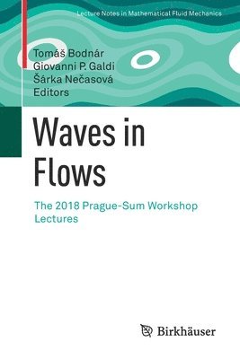 bokomslag Waves in Flows