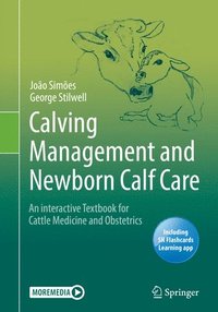 bokomslag Calving Management and Newborn Calf Care