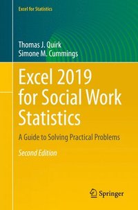 bokomslag Excel 2019 for Social Work Statistics