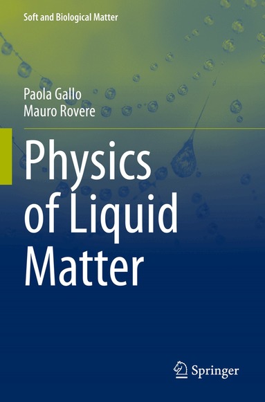 Paola Gallo, Mauro Rovere - Physics of Liquid Matter, Häftad