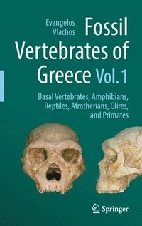 bokomslag Fossil Vertebrates of Greece Vol. 1