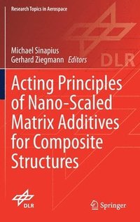 bokomslag Acting Principles of Nano-Scaled Matrix Additives for Composite Structures