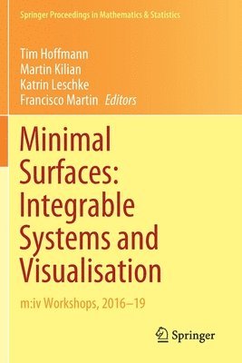 Tim Hoffmann, Martin Kilian, Katrin Leschke, Francisco Martin - Minimal Surfaces: Integrable Systems and Visualisation, Häftad