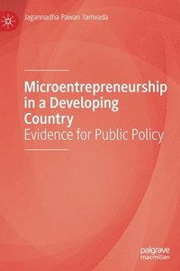 bokomslag Microentrepreneurship in a Developing Country