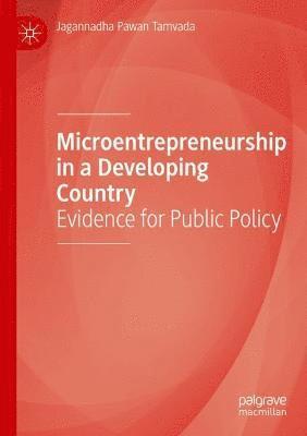 bokomslag Microentrepreneurship in a Developing Country