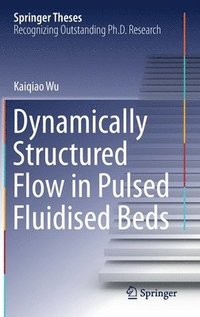 bokomslag Dynamically Structured Flow in Pulsed Fluidised Beds