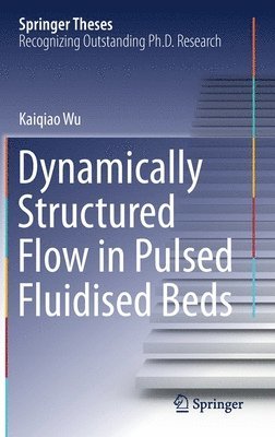 bokomslag Dynamically Structured Flow in Pulsed Fluidised Beds