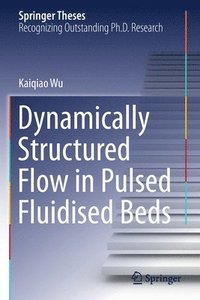 bokomslag Dynamically Structured Flow in Pulsed Fluidised Beds