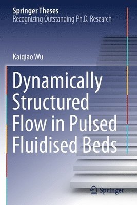 Dynamically Structured Flow in Pulsed Fluidised Beds 1