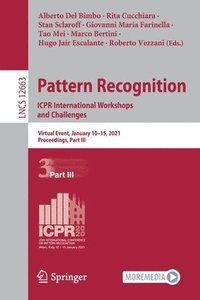 bokomslag Pattern Recognition. ICPR International Workshops and Challenges