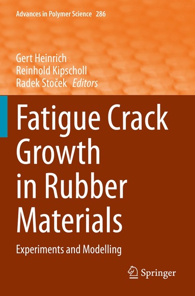 Gert Heinrich, Reinhold Kipscholl, Radek Stoček - Fatigue Crack Growth in Rubber Materials, Häftad