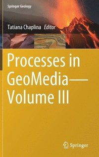 bokomslag Processes in GeoMediaVolume III