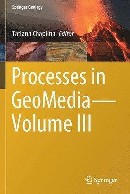 Tatiana Chaplina - Processes in GeoMedia—Volume III, Häftad