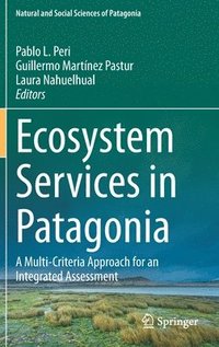 bokomslag Ecosystem Services in Patagonia