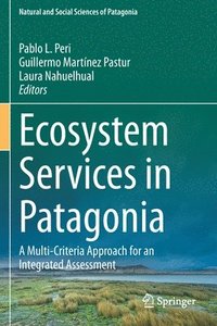 bokomslag Ecosystem Services in Patagonia